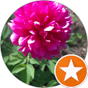 Jaana Uusitalo profile picture