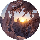 Helena De Clercq profile picture